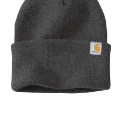 Carhartt Watch Cap 2 CT104597 Watch Cap 2 Thumbnail